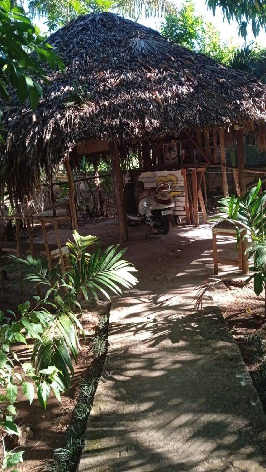 T&T - Tatty And Tony Guesthouse Negril Kamer foto