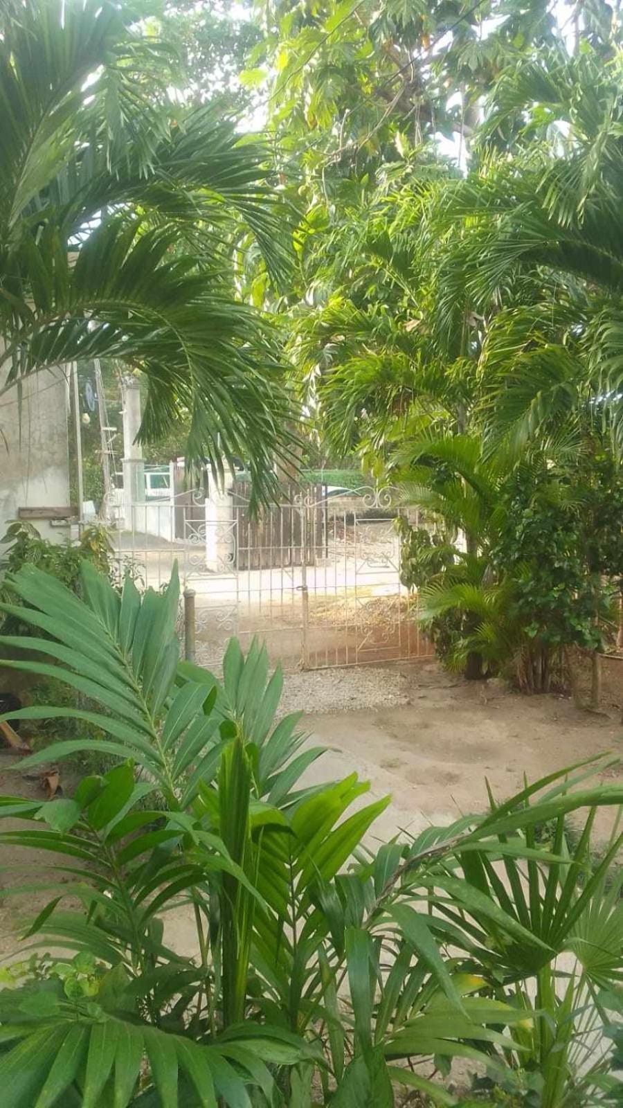 T&T - Tatty And Tony Guesthouse Negril Buitenkant foto